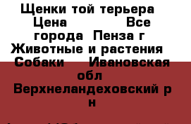 Щенки той терьера › Цена ­ 10 000 - Все города, Пенза г. Животные и растения » Собаки   . Ивановская обл.,Верхнеландеховский р-н
